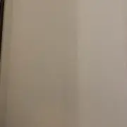 letuceの画像