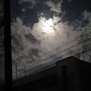 まぐろ