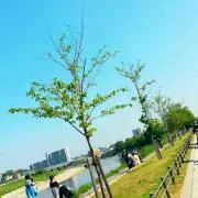 ☆33yh★の画像