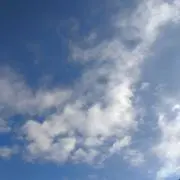 nogoroの画像