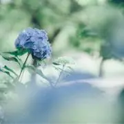 てるてる【プロフ一読◎】の画像