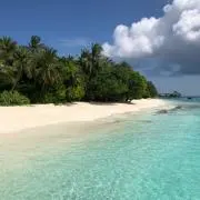 毛太郎