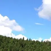 ペペロンチーノ