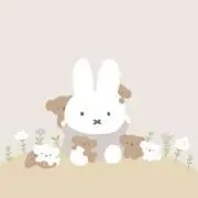 みかんの画像