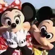 でぃおーるの画像