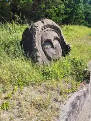マイルズ・マイコラスの画像