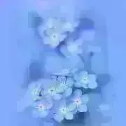 Sade【プロフ必読お願いします】の画像