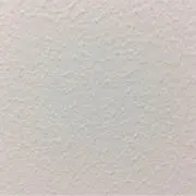リュウ