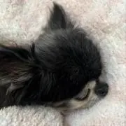 ハローハロー