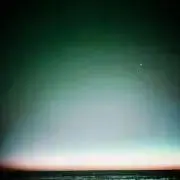 てんの画像