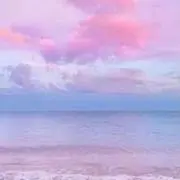 もも