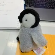 Kazuの画像