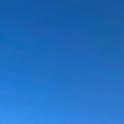 mimiの画像