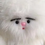 まめの画像