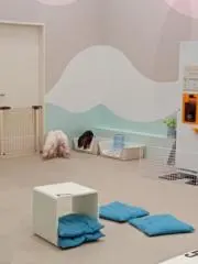 ぴすの画像