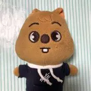 りすの画像