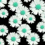 つの画像