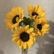 じ(プロフ必読)