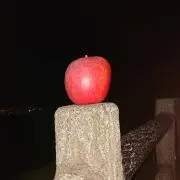 こーせーのフリマ劇場