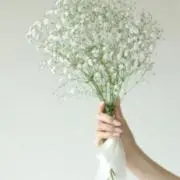 ゆいの画像