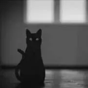 tpok.の画像