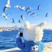 mamo～ 即購入歓迎の画像