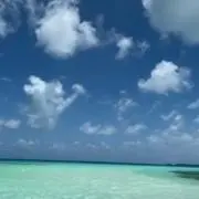 餡ころの画像