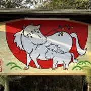 nariの画像