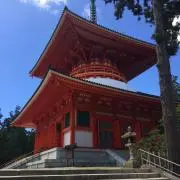 そふとくりーむの画像