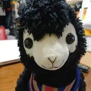 kankanの画像