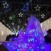 snow_wの画像