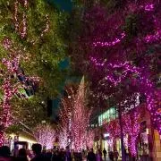 優菜の画像