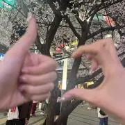 maiの画像