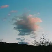 Hiraw510の画像