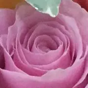 みぽりん　プロフ必読してくださいませの画像