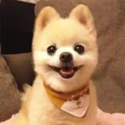 amelie プロフィールお読み下さい