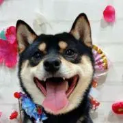 はちくんの画像