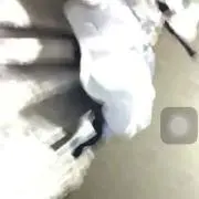 idg
