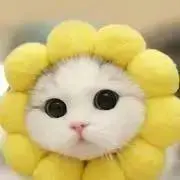 プラチナ
