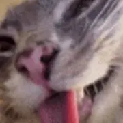 LOGさんの画像