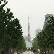 kawaii☆の画像