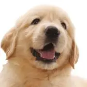 アル1107の画像