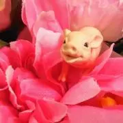 ジョンの画像