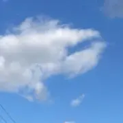 Biの画像