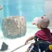 たぬ断捨離の画像