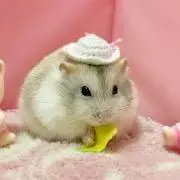 希少！！サンリオ「半熟温泉 ハンギョドン」レターセット - メルカリ