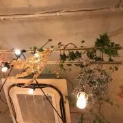 みの画像
