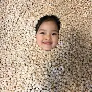 SUIの画像