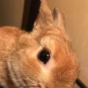 ザッキー