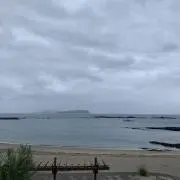 ハルナルの画像